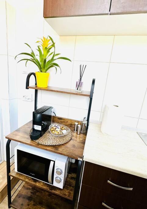 Cozy 1Br Apartment•Central•Quiet 부쿠레슈티 외부 사진